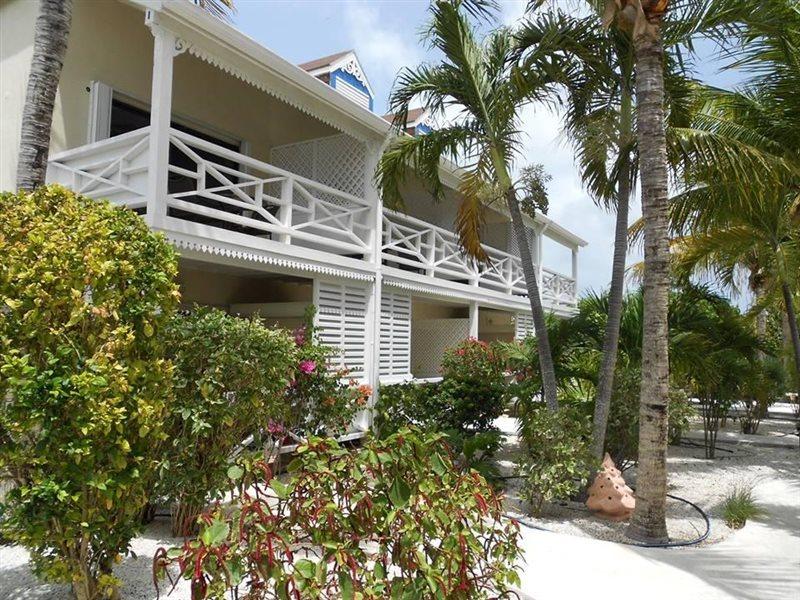 Caribbean Paradise Inn Grace Bay Eksteriør billede