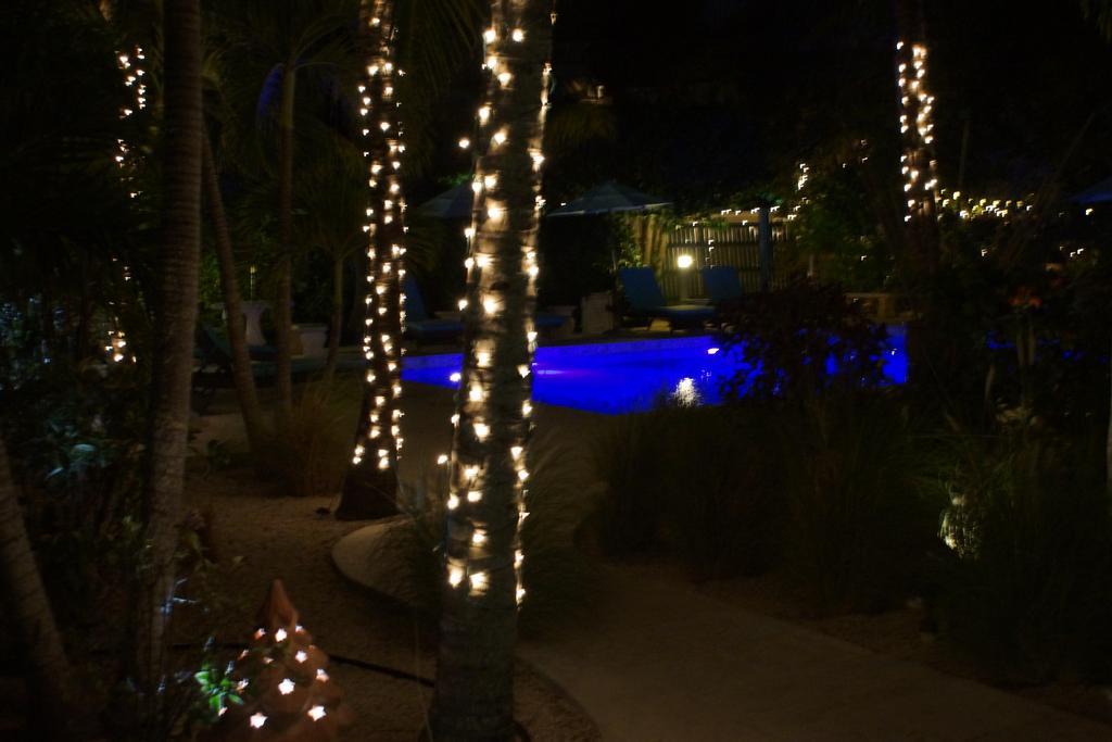 Caribbean Paradise Inn Grace Bay Eksteriør billede