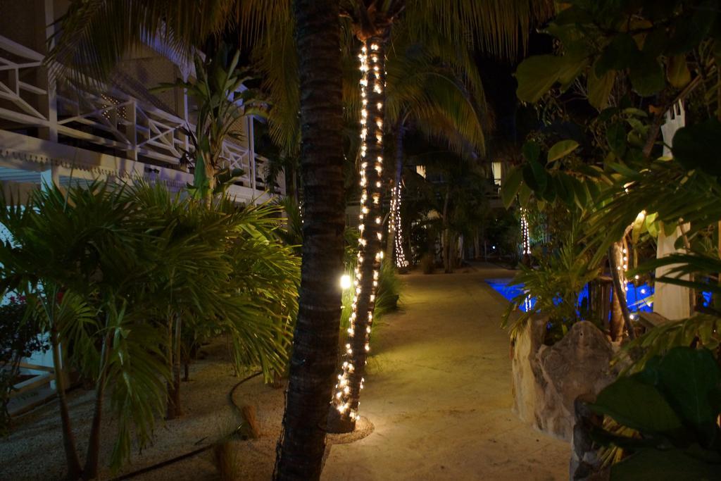 Caribbean Paradise Inn Grace Bay Eksteriør billede